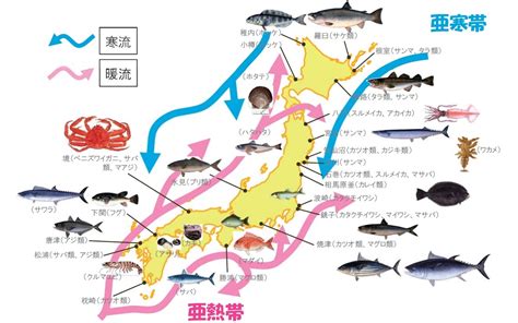 日本魚種類